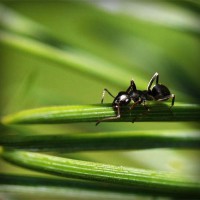 /album/el-azobejo/photolia-a05-jpg/