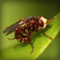 /album/el-azobejo/photolia-a06-jpg/